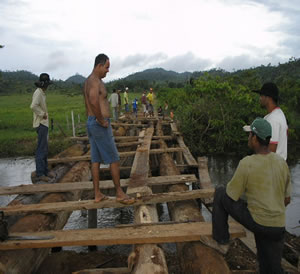 Ponte_em_construcao_pela_Comunidade_na_Linha_82_em_Ji-Parana